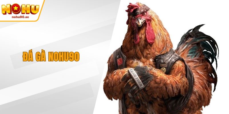 Đá Gà NOHU90 - Sân Chơi Đỉnh Cao Cho Dâm Mê Gà Chiến