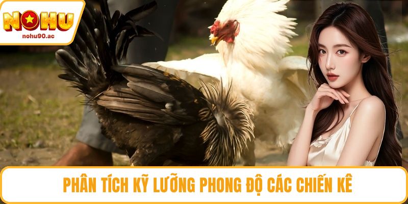 Phân tích kỹ lưỡng phong độ các chiến kê