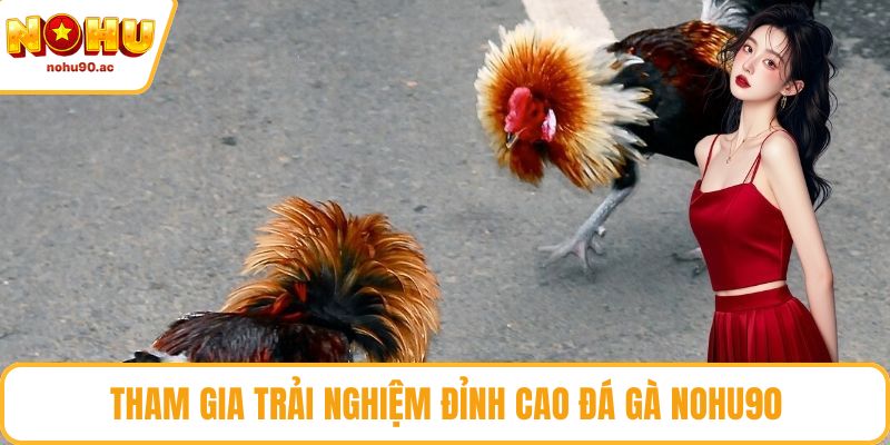 Tham gia trải nghiệm đỉnh cao đá gà NOHU90