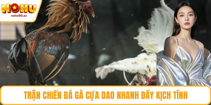 Trận chiến đá gà cựa dao nhanh đầy kịch tính